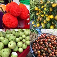 Produce  at Weekly Market in Chiang Mai
