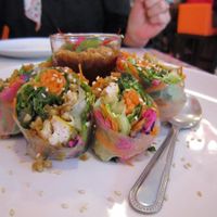 Delicious Fresh Rolls at Brown Rice Organic Bistro in Chiang Mai