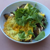 Mimi's hash (vegan) at Mimi's on Lincoln in Chicago