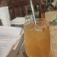  at Golden Bamboo in Vang Vieng