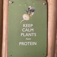 interior facts  at Grow Vegan in Koh Samui