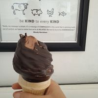 #Veganuary at Vegan Way Cafe in Probolinggo