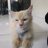  at Vegan Way Cafe in Probolinggo