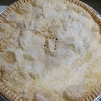 Tourtière du lac at Fika Végane in Montreal