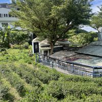   at found.your.tea in Taipei