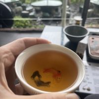   at found.your.tea in Taipei