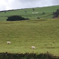 Hollywood sign outside at Hollywood Cafe in Hollywood