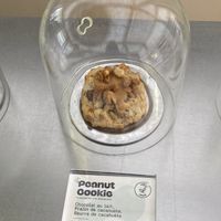  at Buddy Buddy in Paris