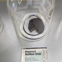 4,5€ for a peanut butter cup… is this a joke? at Buddy Buddy in Paris