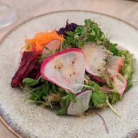 Side salad at Cafe Gallery Sun 燦 in Kyoto