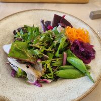 Side salad to all sandwiches at Cafe Gallery Sun 燦 in Kyoto