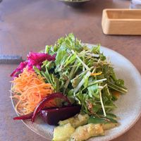 Complementary salad for every meal  at Cafe Gallery Sun 燦 in Kyoto