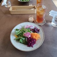 Salad included in the menu at Cafe Gallery Sun 燦 in Kyoto