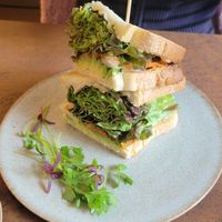 Avocado sando at Cafe Gallery Sun 燦 in Kyoto