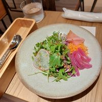 Appetizer salad at Cafe Gallery Sun 燦 in Kyoto