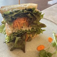 Avocado sandwich   at Cafe Gallery Sun 燦 in Kyoto