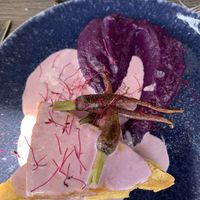 Purple tofu  at Essencia in Porto