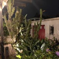 Garden at Essencia in Porto