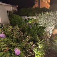 Garden at Essencia in Porto