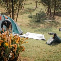 Zona de Camping, con servicio de baño. at Casa Madre Raiz  in Sotaquira