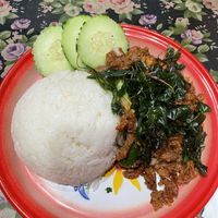 Kra pao vegan  at Kin Len  in San Diego