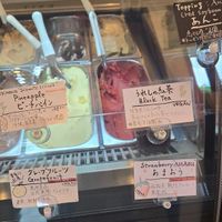 4 vegan sorbet at fun.ice! - ファン アイス in Tokyo