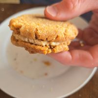 Vegan nutter butter cookie at Seawall Coffee Company in Galveston