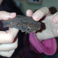  at Paris Vegane in Paris