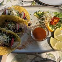 Jackfruit Tacos 🌮   at Manipura in Tenerife