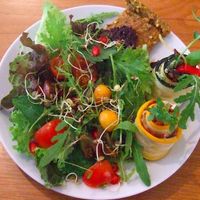 Quintal Roll & Puff Plate (What a beatiful, fresh and apetizing way to deliver a healthy dose of nutrition to your body!) at Quintal Bioshop in Porto