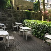 patio garden with cat  at Quintal Bioshop in Porto
