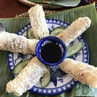 Fried springrolls  at Maison Trang Restaurant in Hue