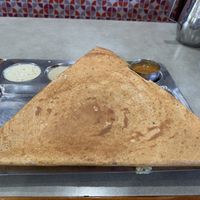 Coconut Masala Dosa  at Sri Ananda Bhavan in Sunnyvale