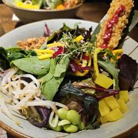 #23 Pagoda Dream at Zen Chay in Cologne