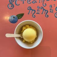   at Screamin' Mimi's in Sebastopol