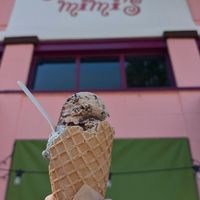 Vegan Mimi's Mud at Screamin' Mimi's in Sebastopol