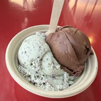 Ice cream scoops    at Screamin' Mimi's in Sebastopol