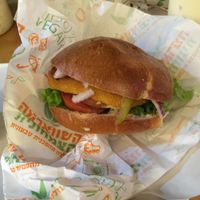 schnitzel burger  at HaShwarma HaTivonit - The Vegan Shwarma in Tel Aviv