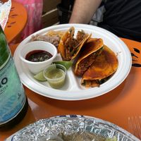 Quesabirria  at El Nopalito Vegan Taqueria in Hollywood