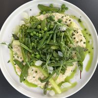 Risotto with green vegetables and vegan cheese  at Wena Restaurant in Swinoujscie