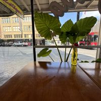   at Plantaqueria in San Antonio