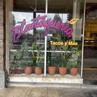   at Plantaqueria in San Antonio