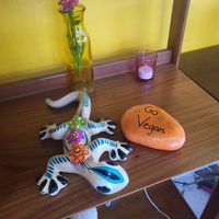  at Plantaqueria in San Antonio