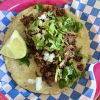 Barbara jackfruit taco  at Plantaqueria in San Antonio