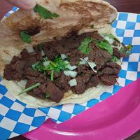 Barbacoa jackfruit breakfast taco on flour tortilla at Plantaqueria in San Antonio