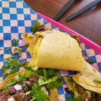  at Plantaqueria in San Antonio