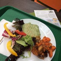 ummus wrap with curry and fresh salad at Veggie in Bratislava