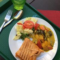 hummus wrap with curry and fresh salad at Veggie in Bratislava
