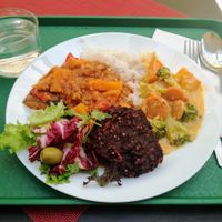 daily menu - thai veggie curry, some sweet potato daal I think, beet patty, rice and fresh salad at Veggie in Bratislava