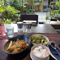 Mushroom with salad and rice. Very tasty and filling!  at Tropical Eatery by Chay Vui in Hoi An